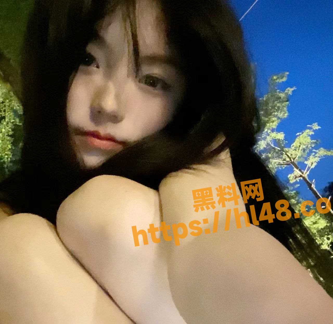 1280X1246