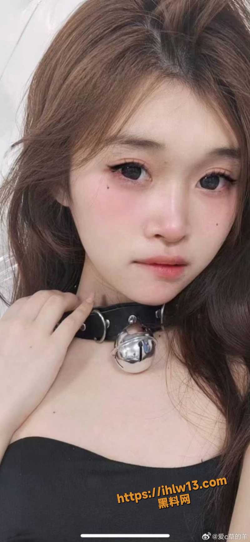 800X1735
