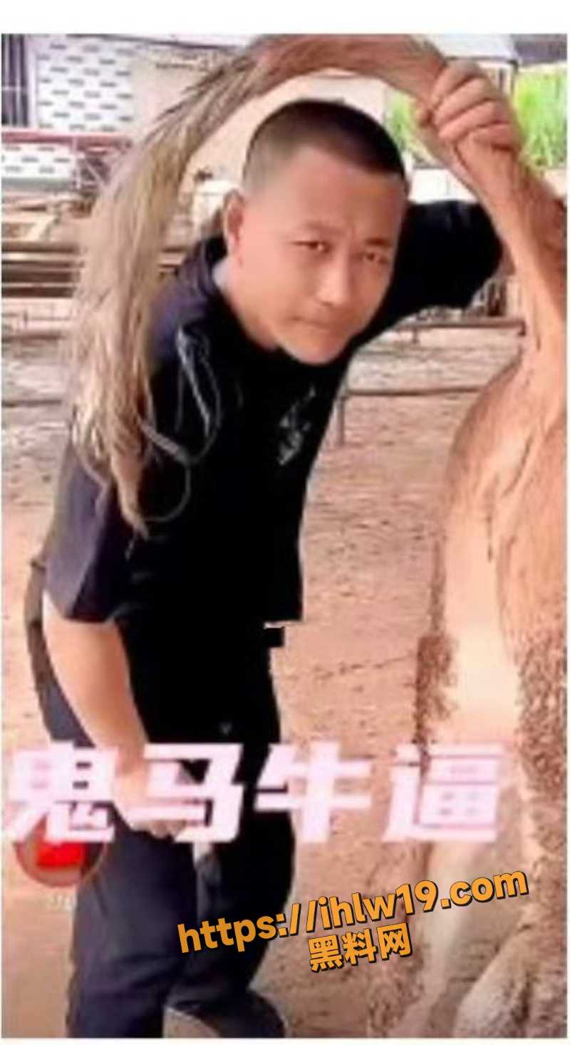 800X1465