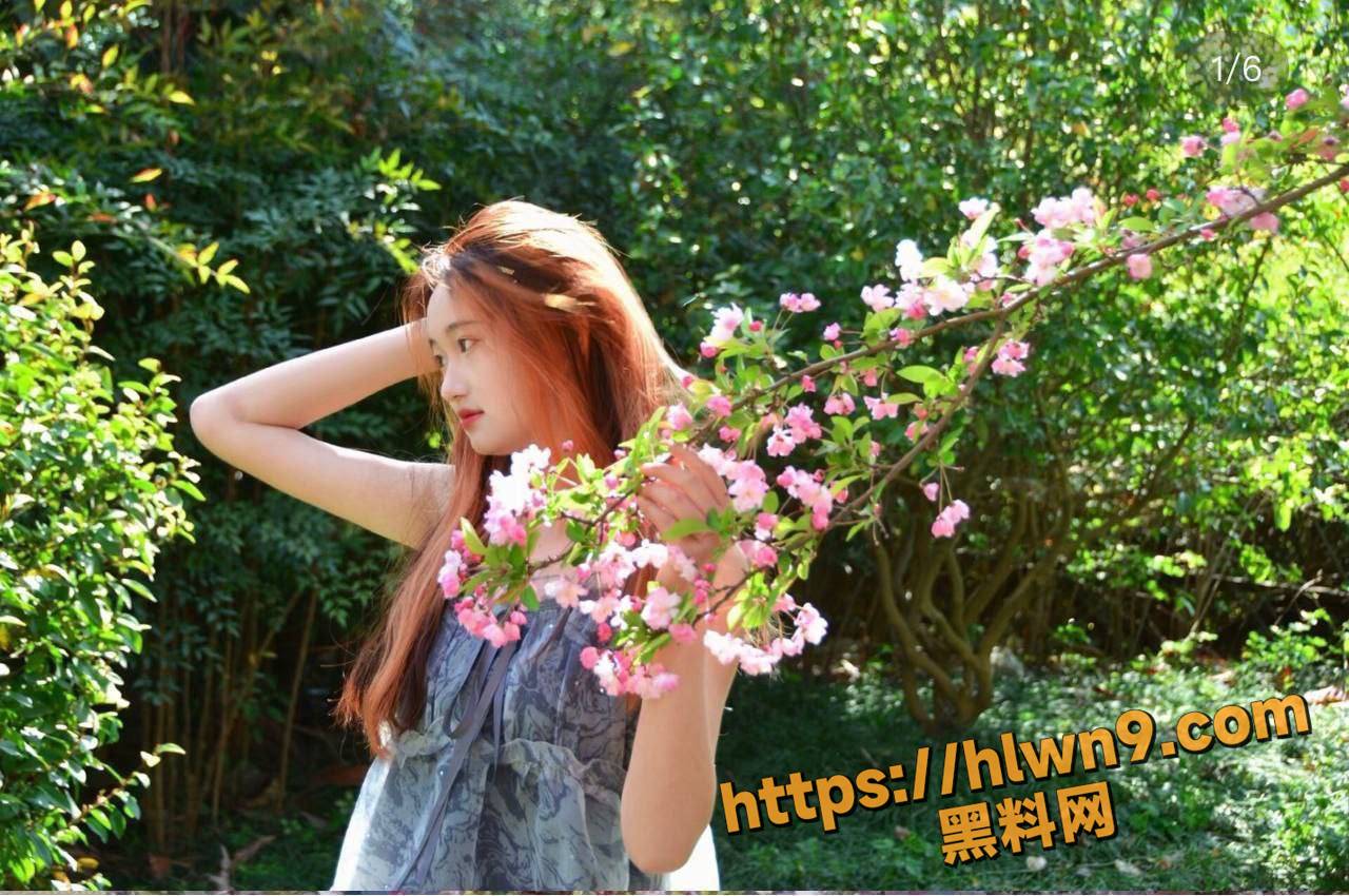 1280X850