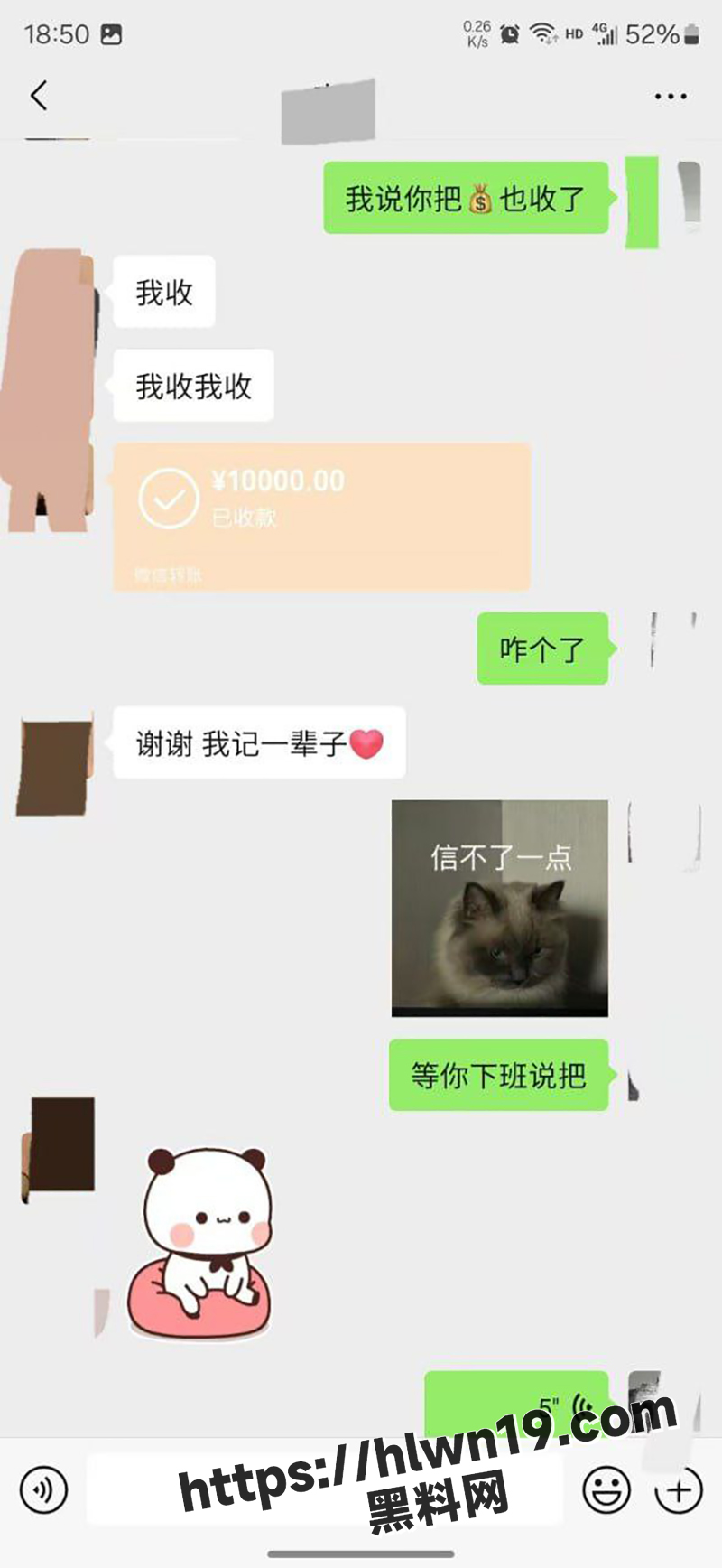 800X1736