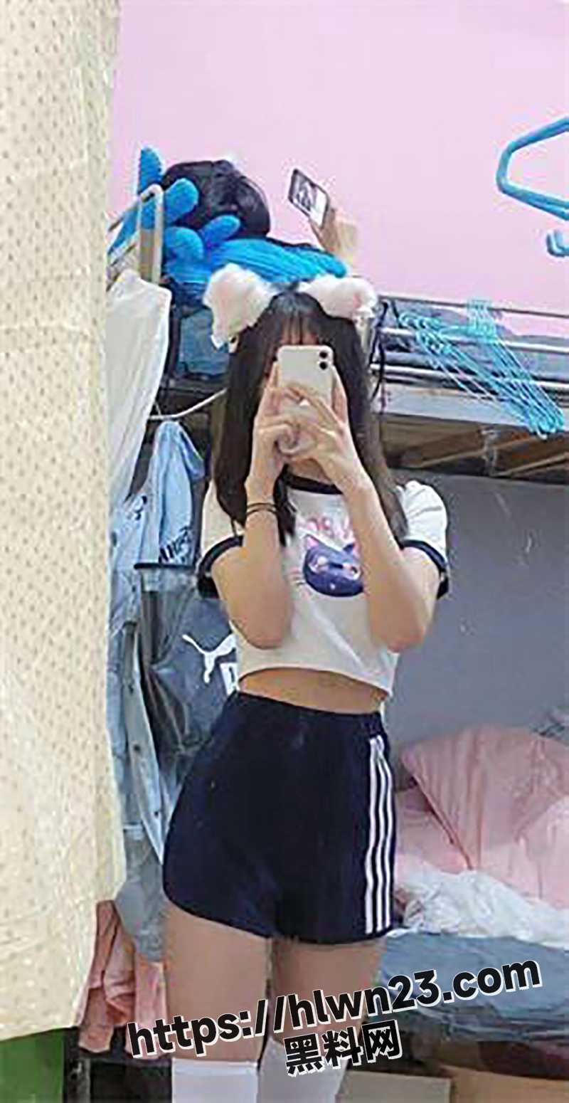 800X1550