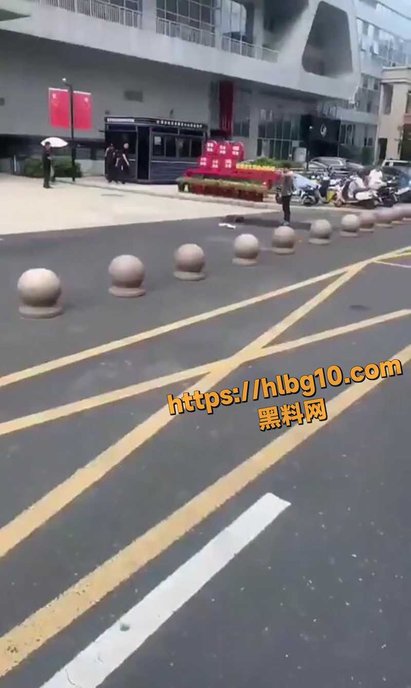 800X1339