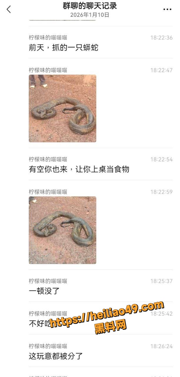 旅游博主误入非洲部落3