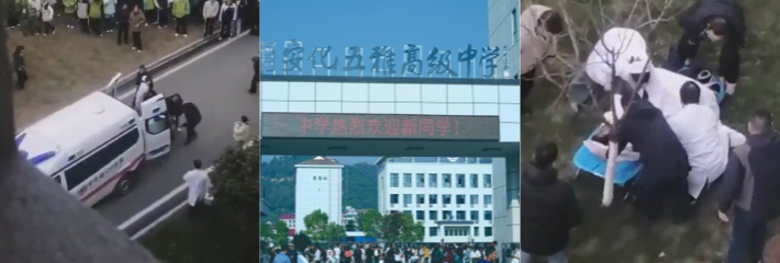 下载