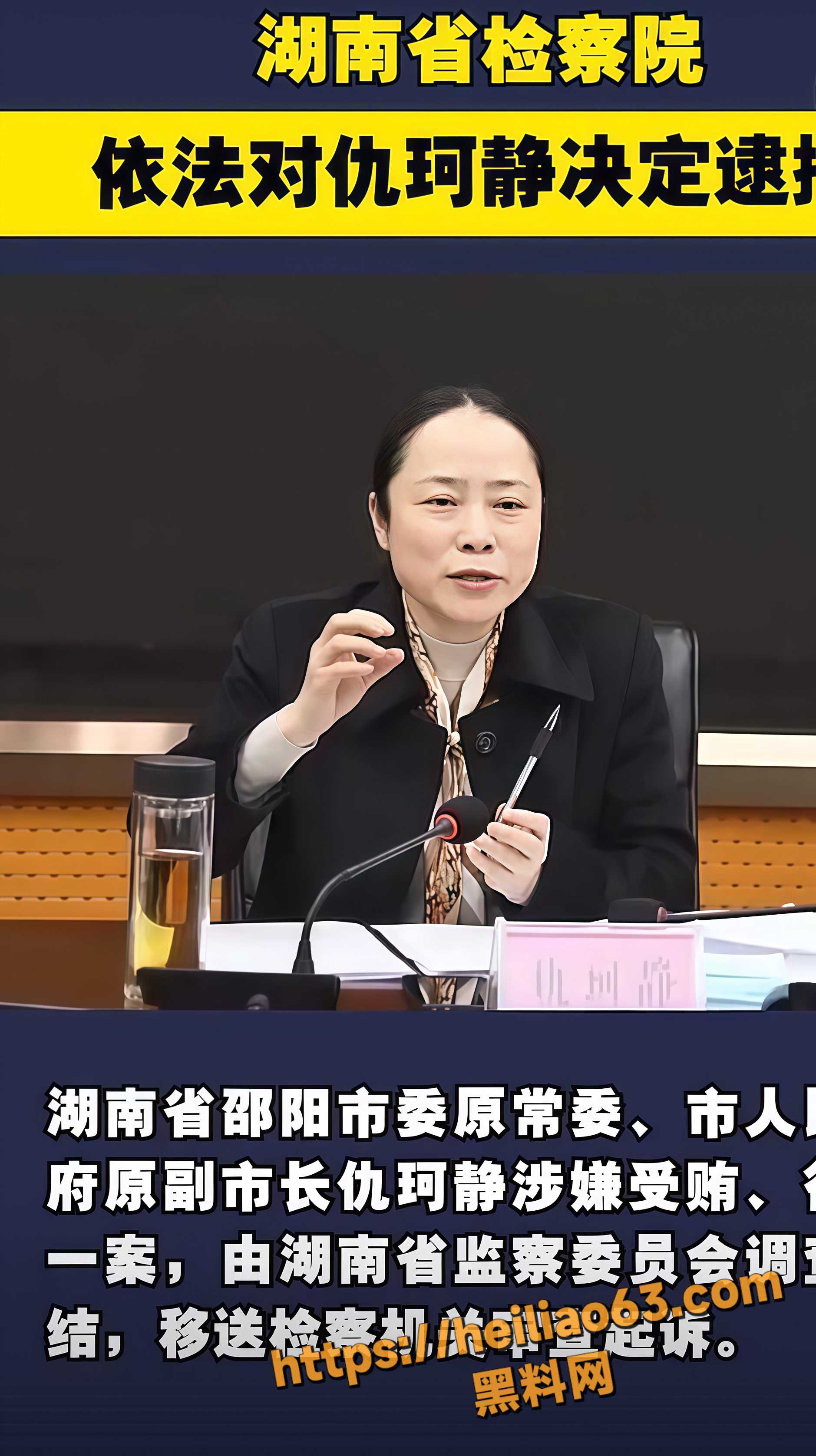 最美副市长7
