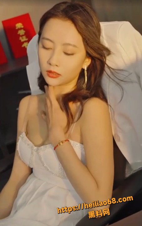 美女总裁4