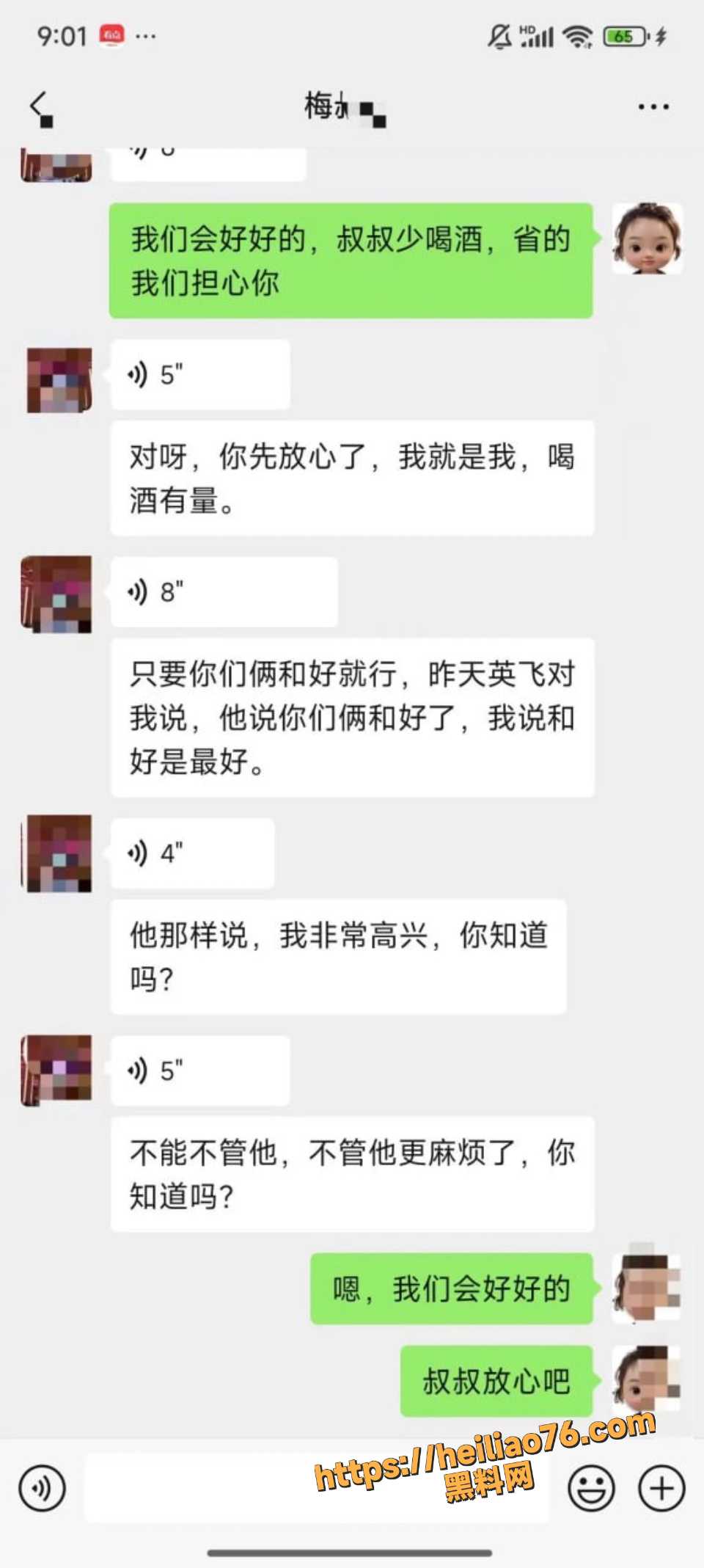 父亲精神控制梅九亮女友 8