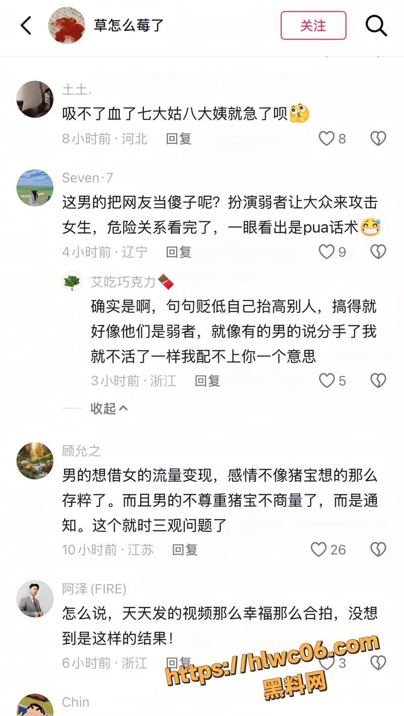 猪宝子 17wm