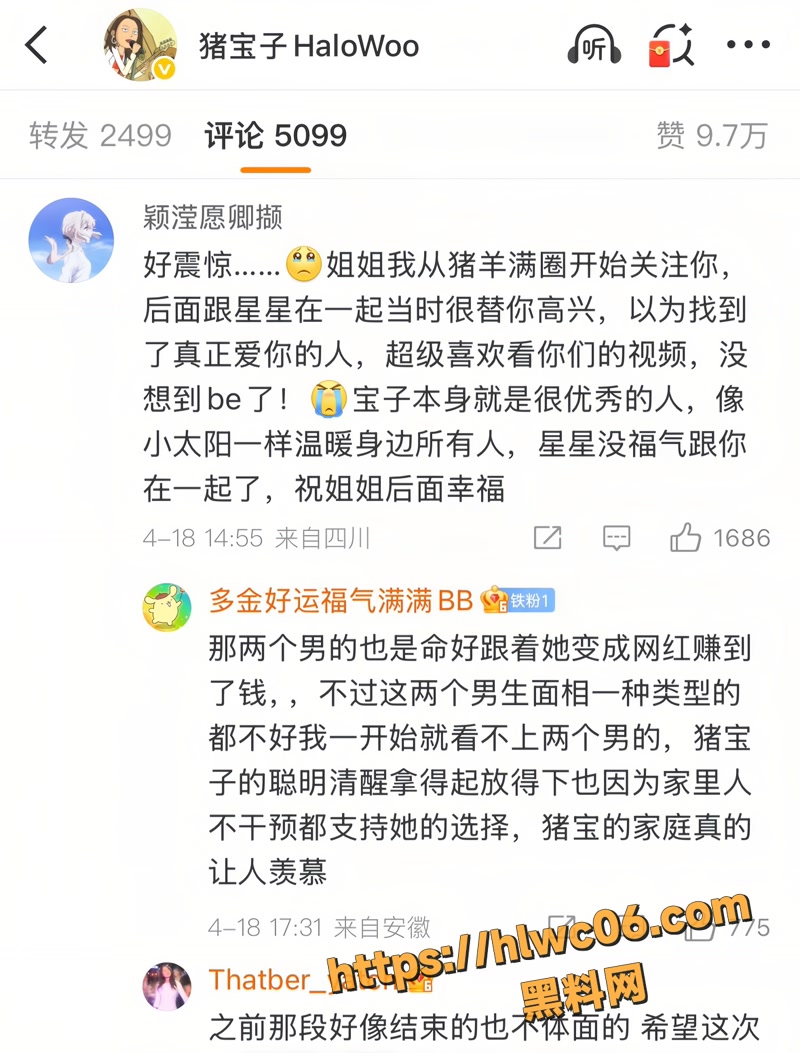 猪宝子 21wm