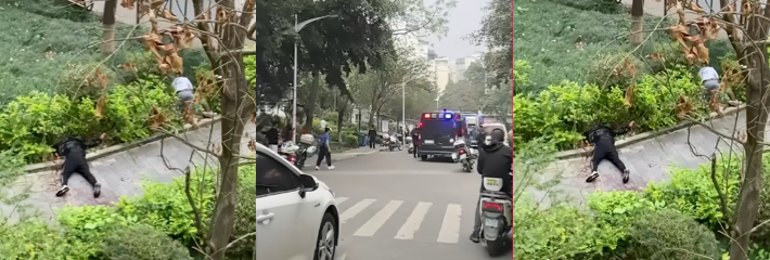 下载 49