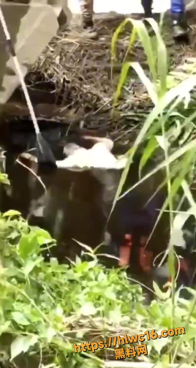 惊悚事件6