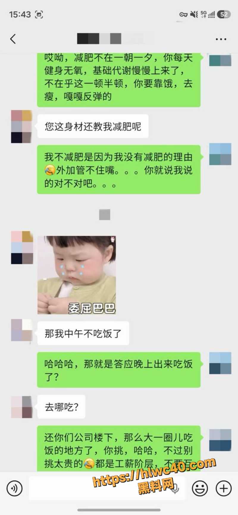 老虎菜资源合集7