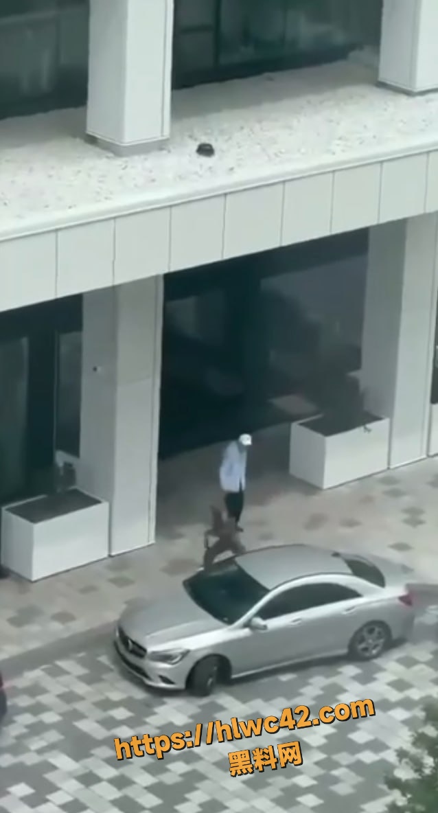 蒙特利尔 1