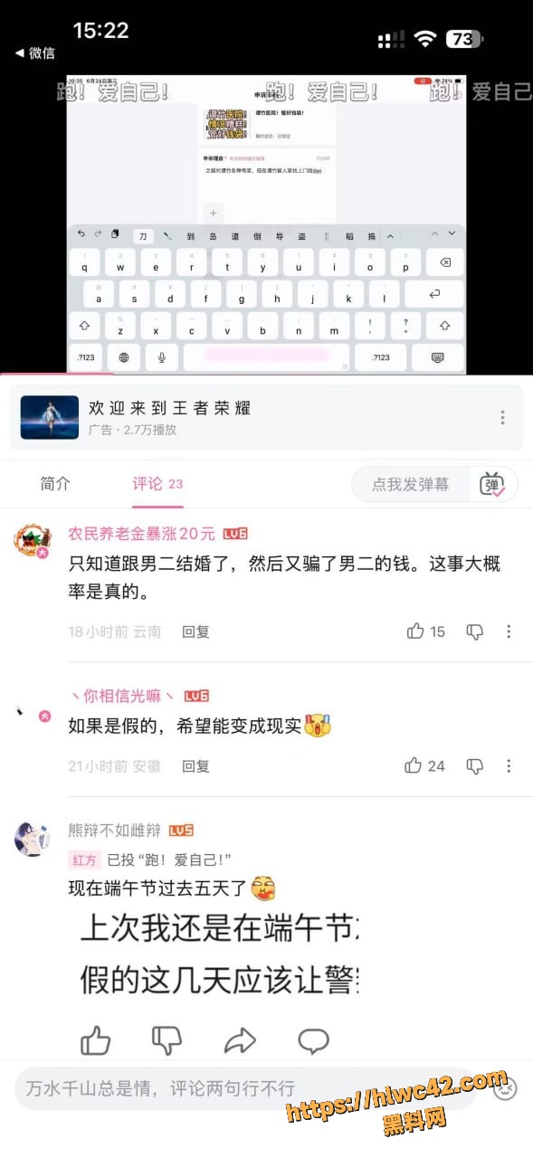 胖猫事件